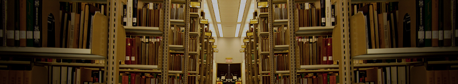1600_295px;